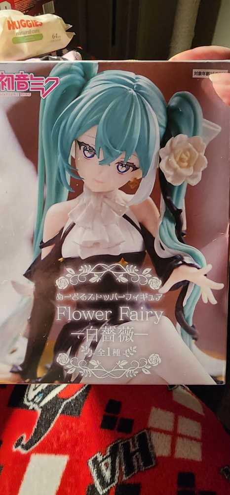 Translucent Hello Kitty