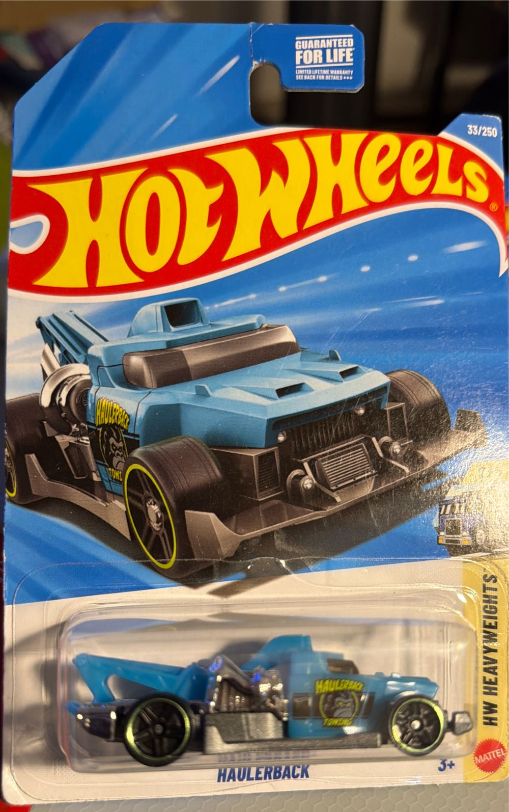 Robin One Piece Robin Kumamoto Project Japan