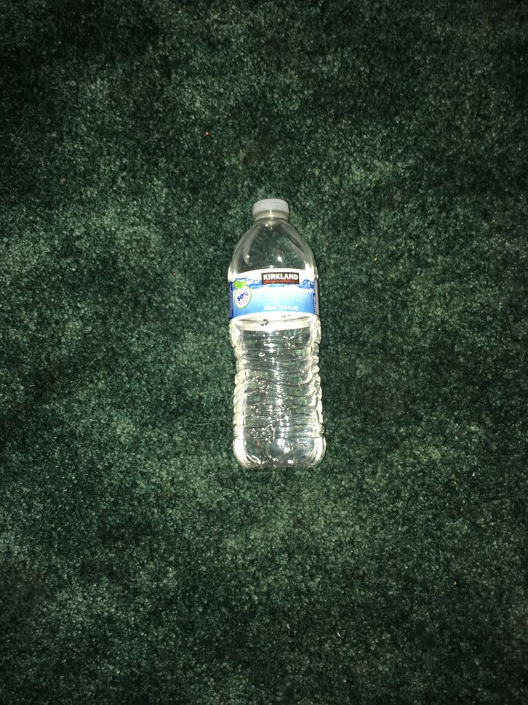 Fiona Goode (Bloody)