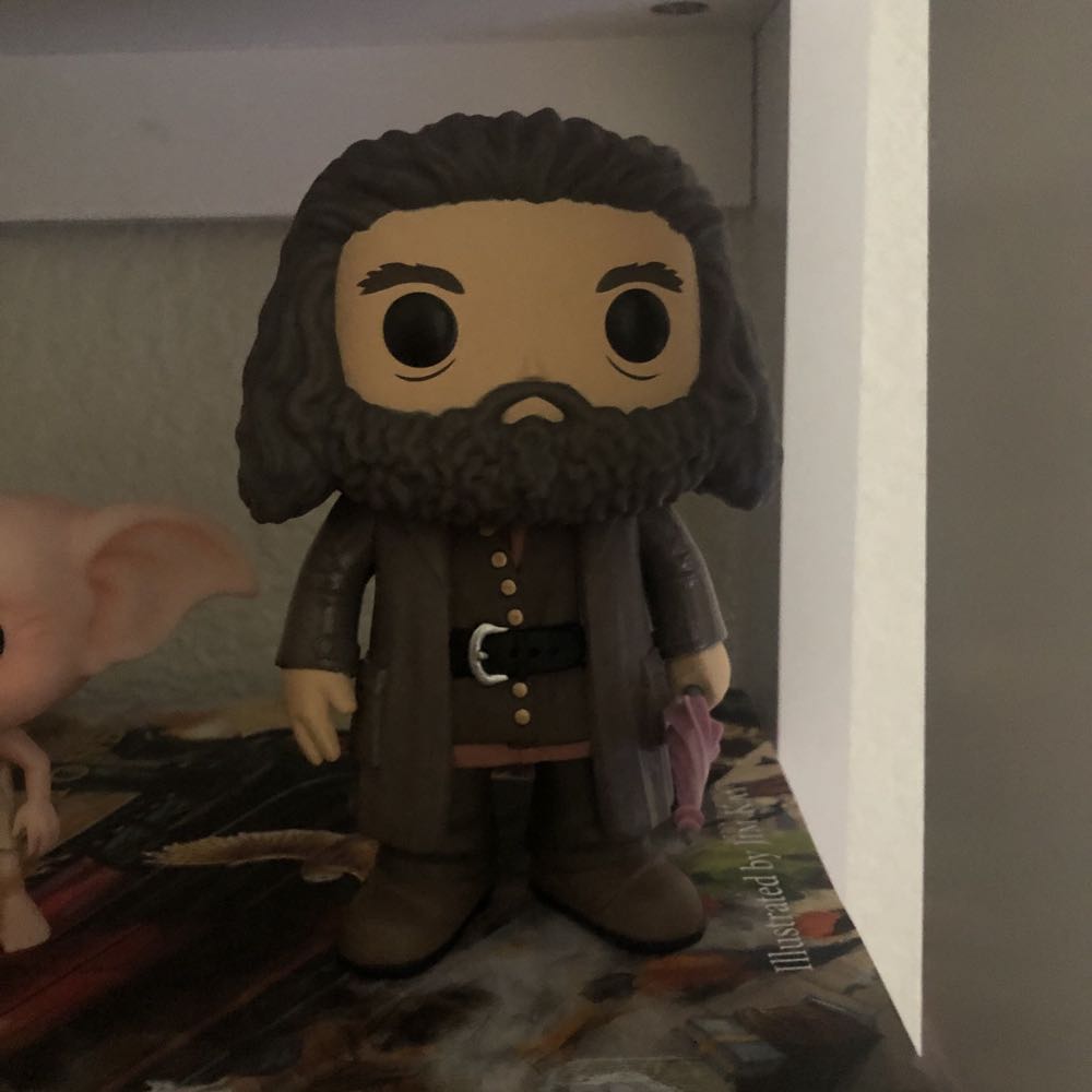Rubius Hagrid - Harry Potter vinyl figure collectible - Main Image 2