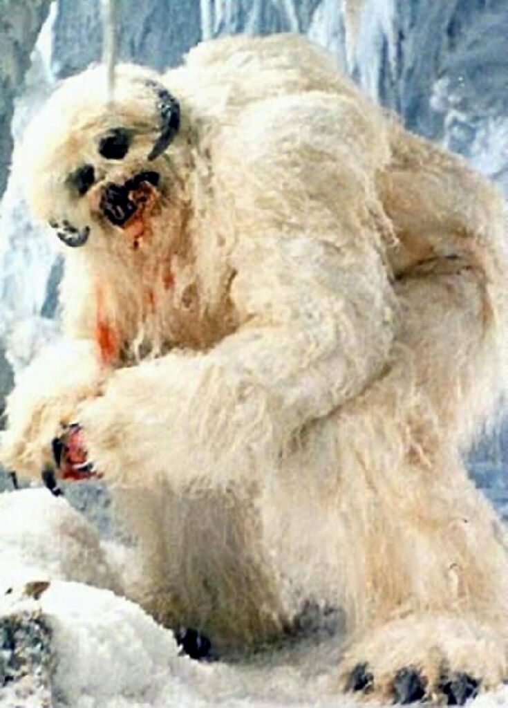 Star Wars - Wampa - 39 - Star Wars vinyl figure collectible [Barcode 849803040017] - Main Image 2