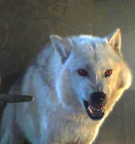 Ghost - Game of Thrones vinyl figure collectible [Barcode 849803038762] - Main Image 4