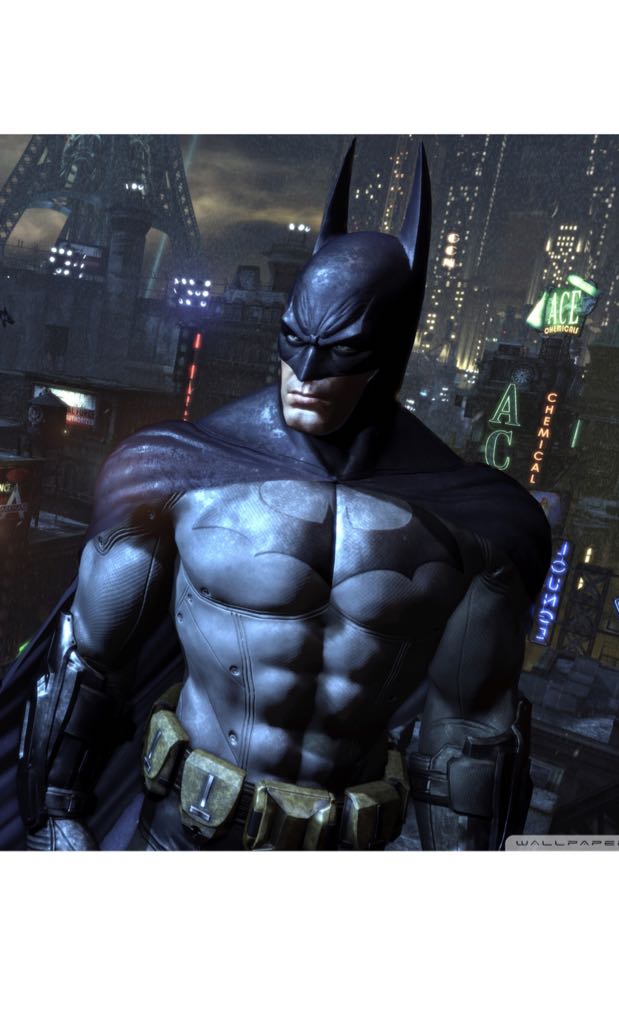 Batman - DC Universe vinyl figure collectible [Barcode 4240387088017] - Main Image 2