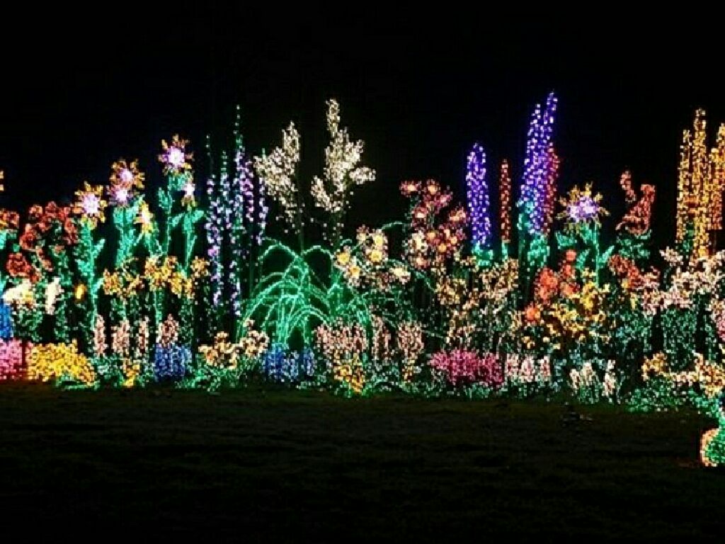 Deadpool Pirate $17-$25