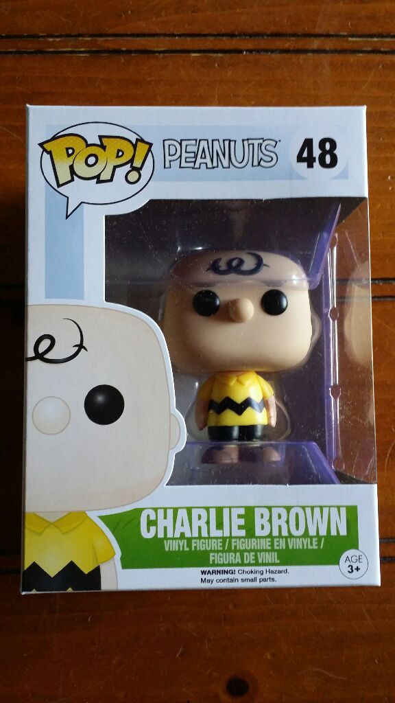 Charlie Brown - Peanuts vinyl figure collectible - Main Image 2