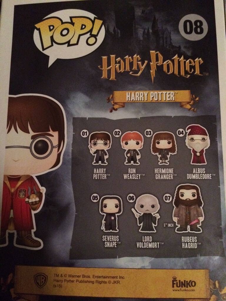 Harry Potter - Harry Potter vinyl figure collectible - Main Image 2