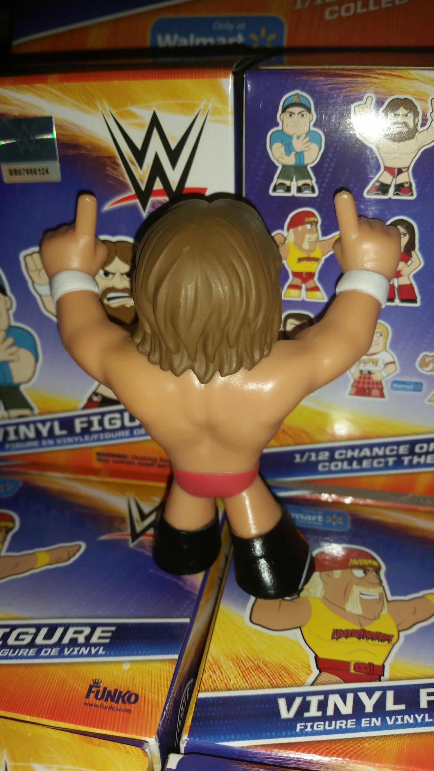 Daniel Bryan Mystery Mini - WWE vinyl figure collectible - Main Image 2