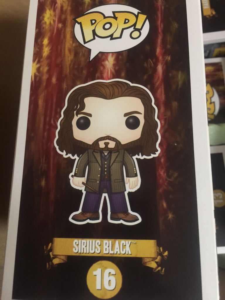 Sirius Black - Harry Potter vinyl figure collectible [Barcode 849803065706] - Main Image 2