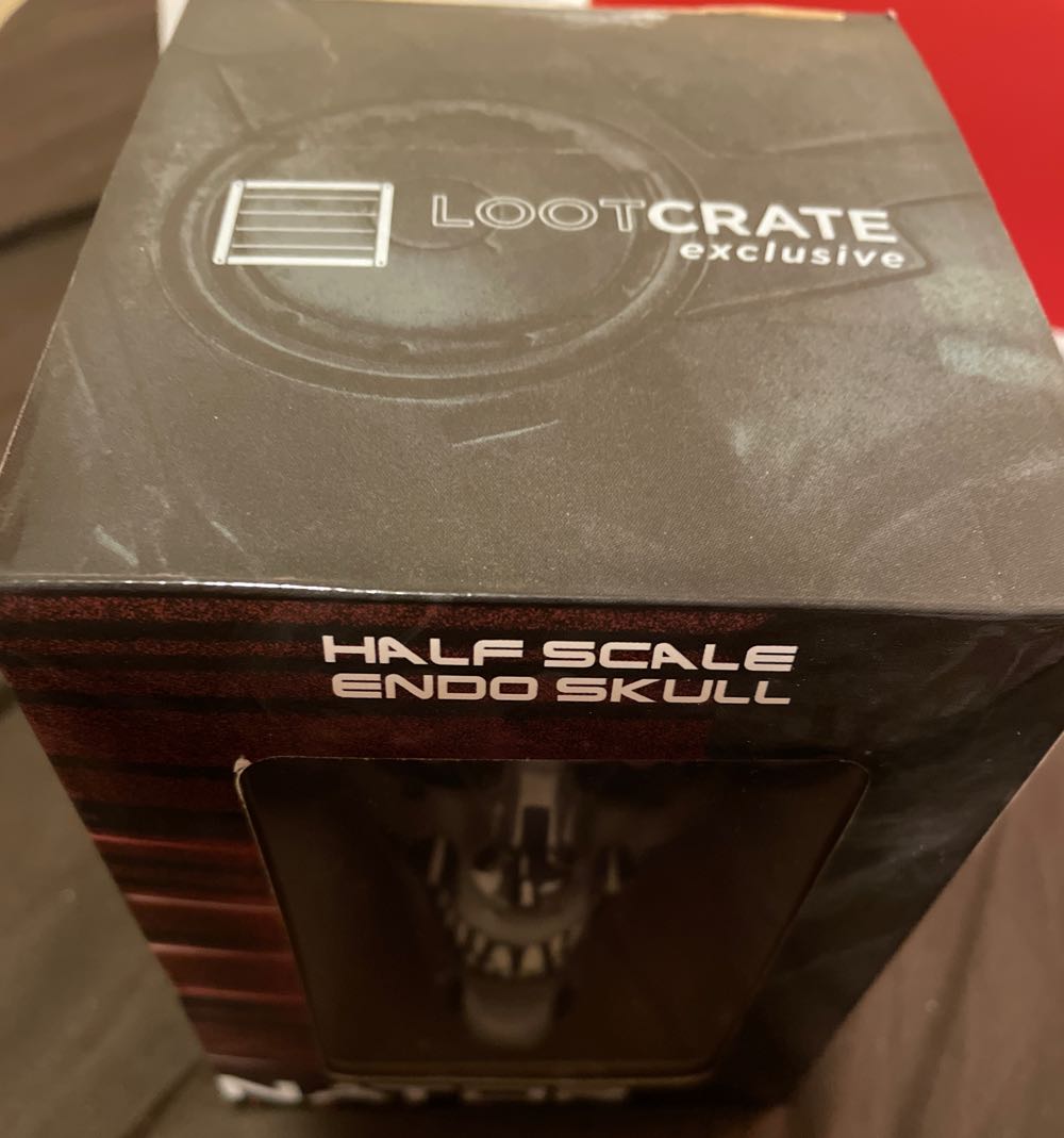 Terminator Genisys  vinyl figure collectible - Main Image 2