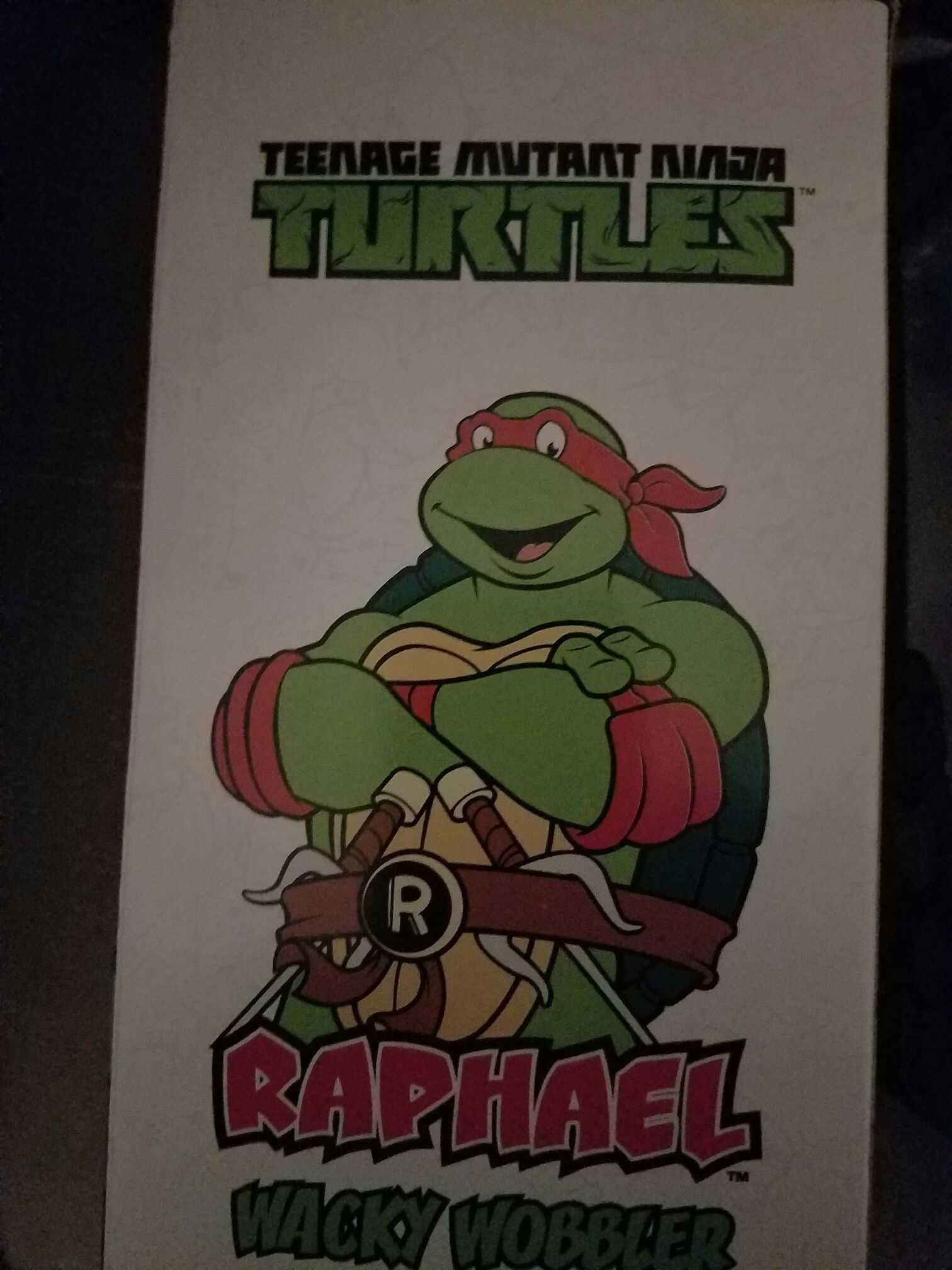 Raphael - Teenage Mutant Ninja Turtles vinyl figure collectible [Barcode 830395033204] - Main Image 2