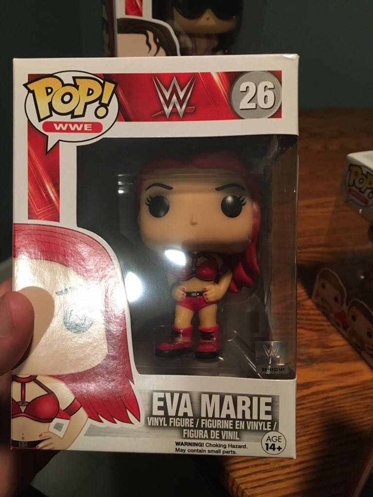 Daryl’s Bike (Brown)