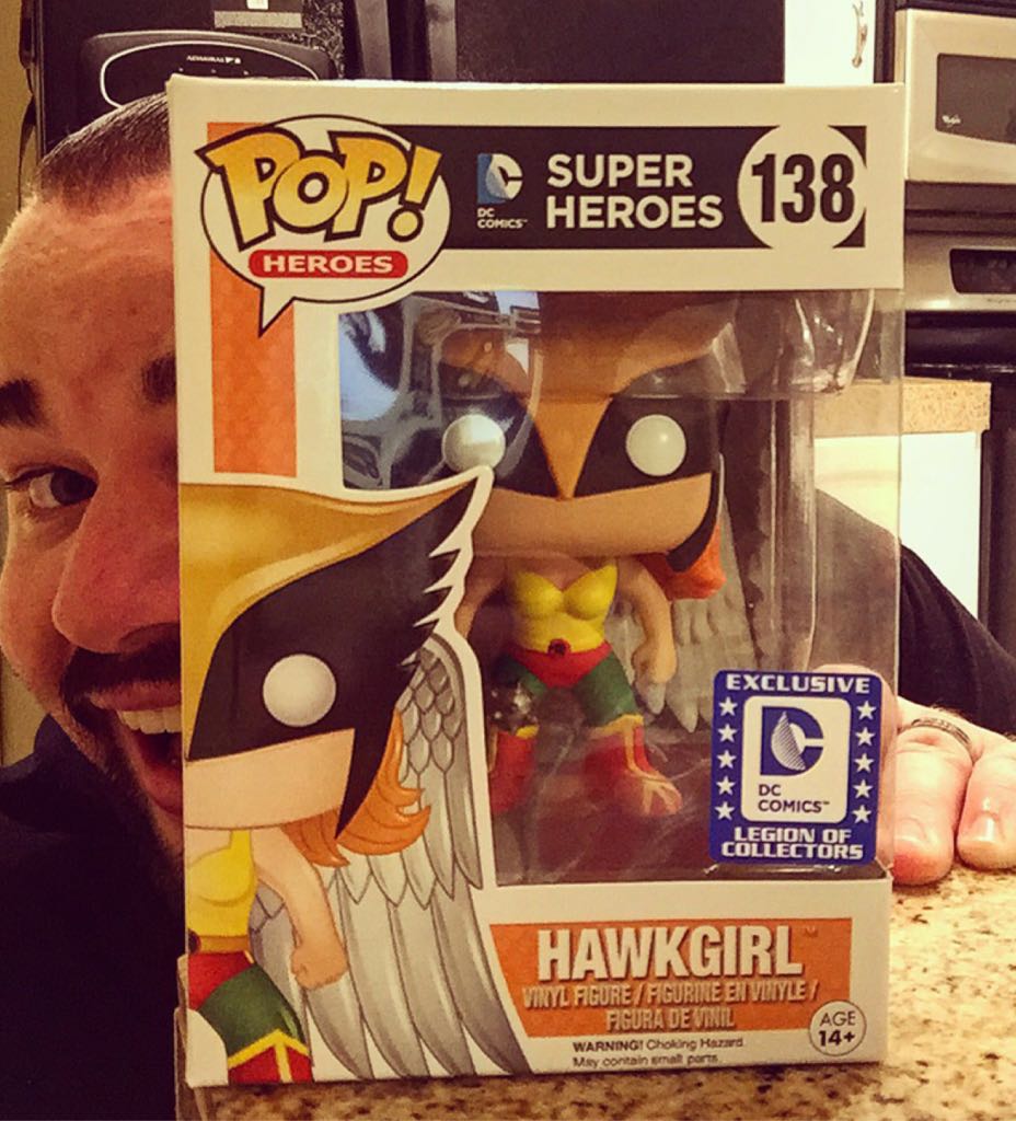 Hawkgirl - DC Universe vinyl figure collectible - Main Image 2