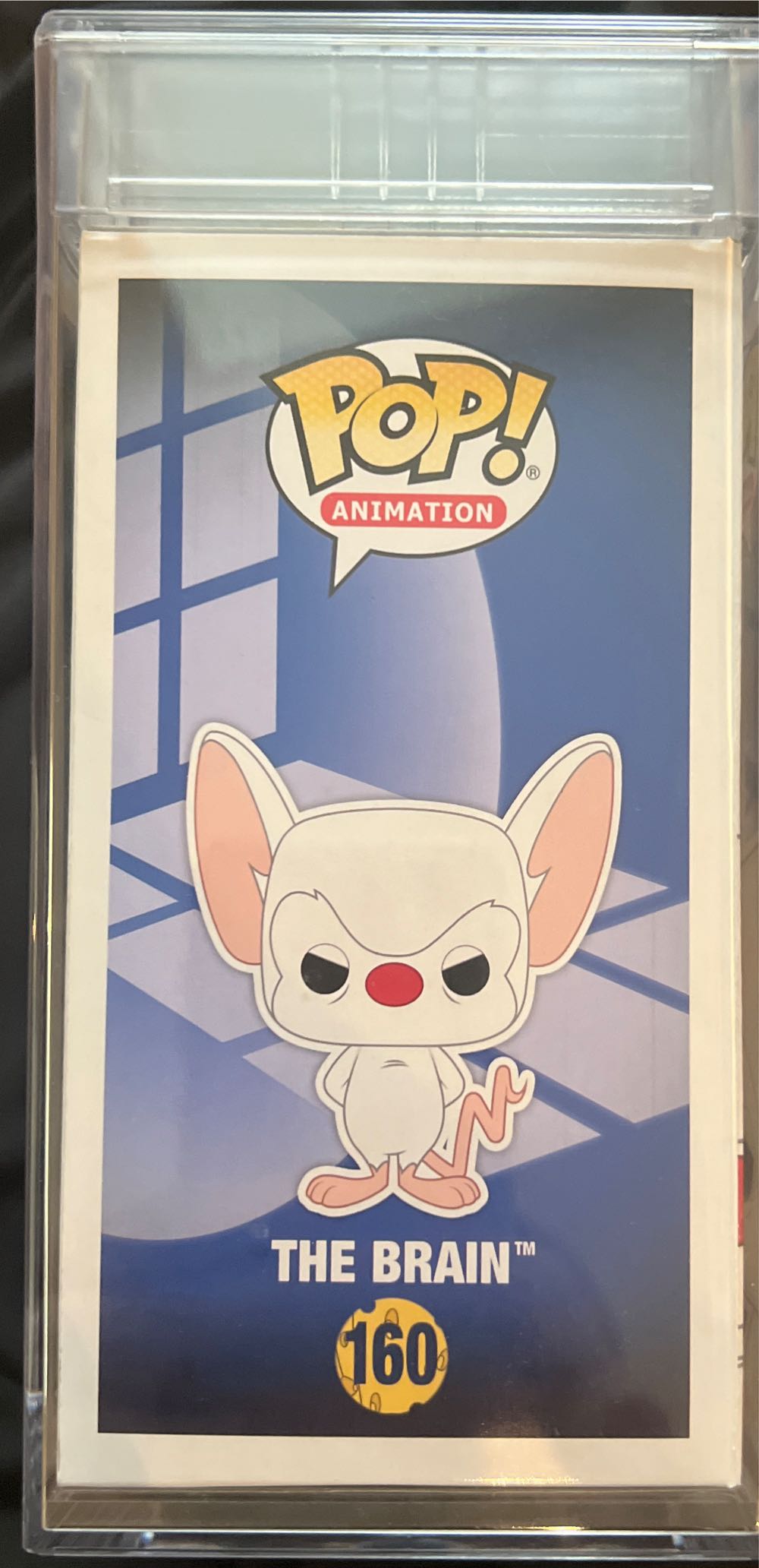 The Brain - Warner Bros. vinyl figure collectible [Barcode 889698106382] - Main Image 3