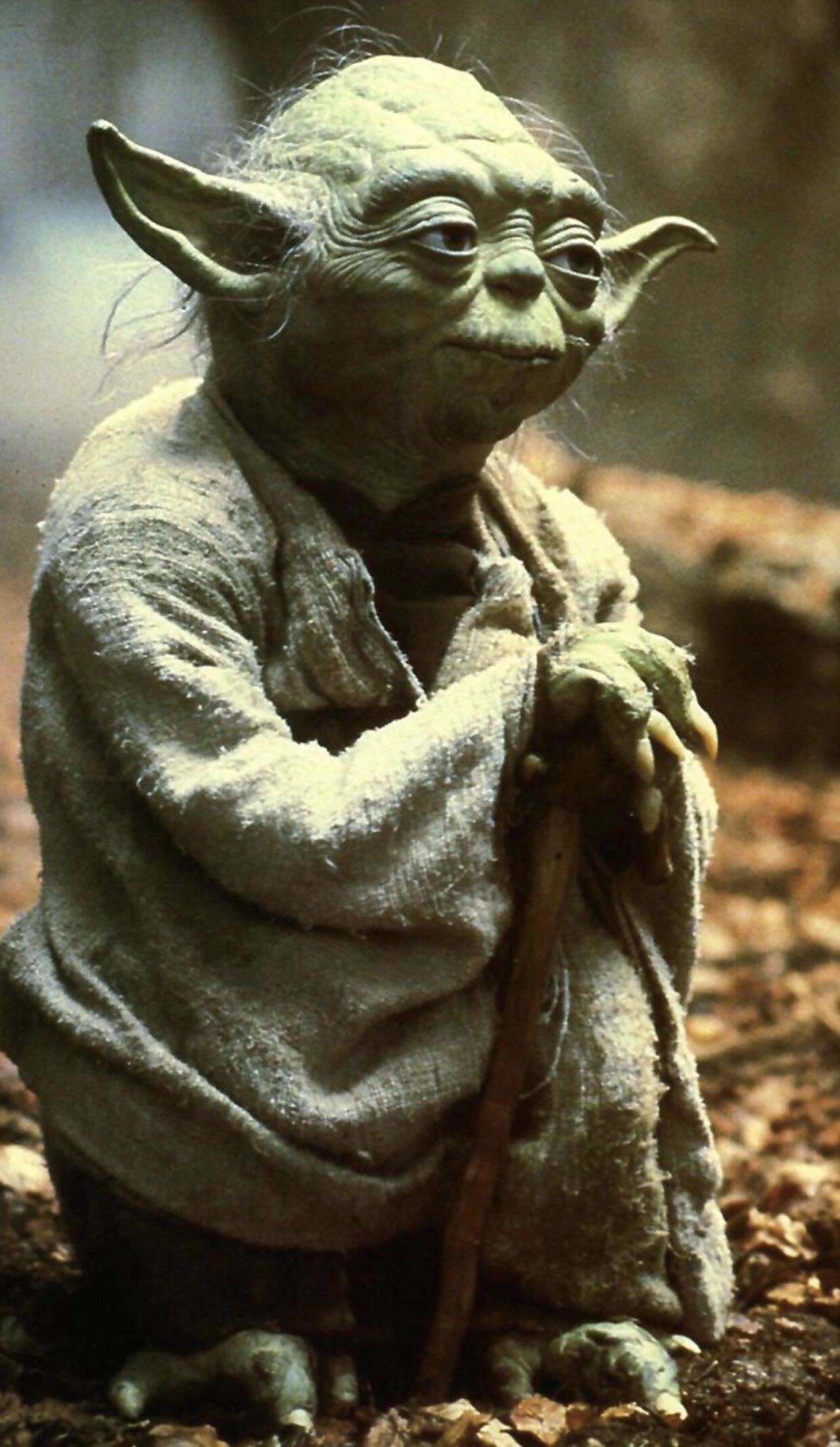 Star Wars: Yoda - Star Wars vinyl figure collectible - Main Image 4