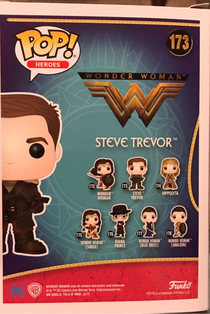 DCWBWW1 173 Steve Trevor - Wonder Woman vinyl figure collectible [Barcode 889698125420] - Main Image 2