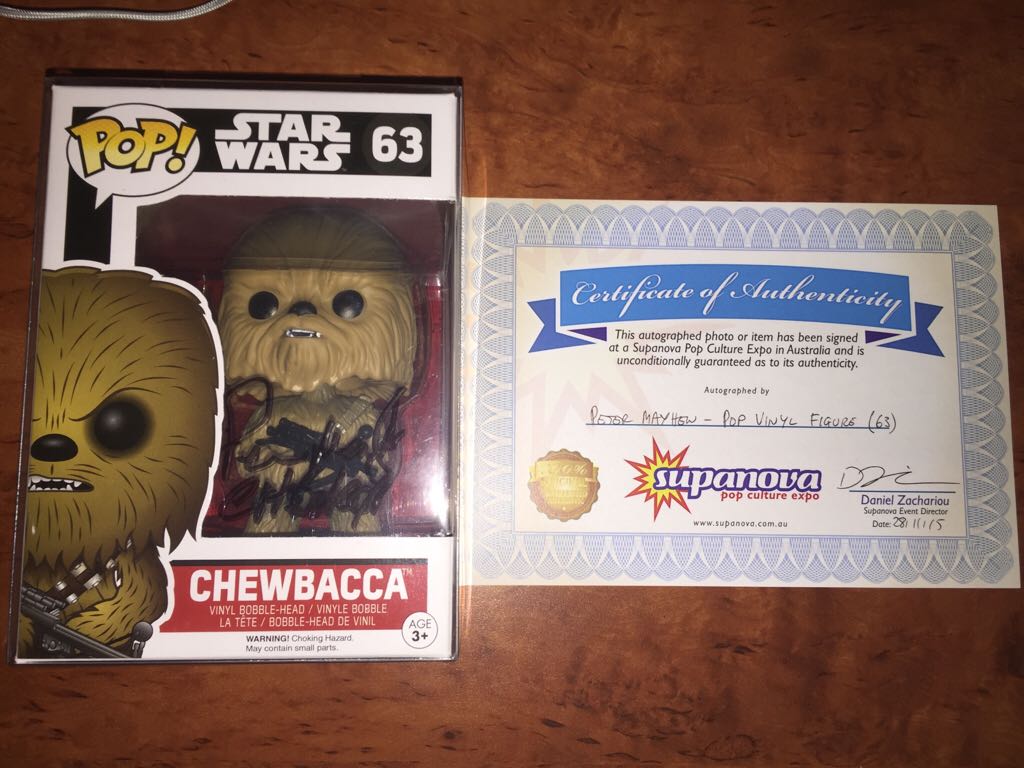 Spider-Man (Homemade Suit)