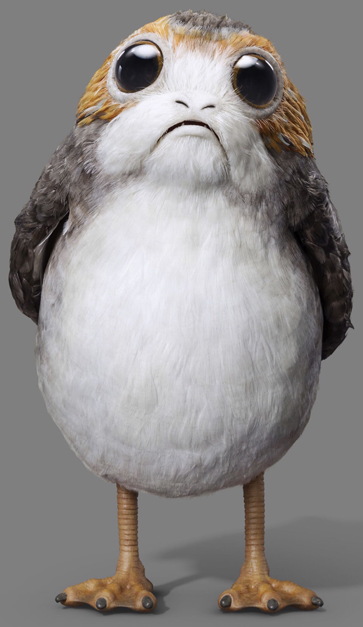Porg (Open Wings) - Star Wars vinyl figure collectible [Barcode 889698219938] - Main Image 4