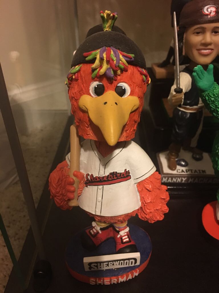 Ace - Blue Jays Mascot