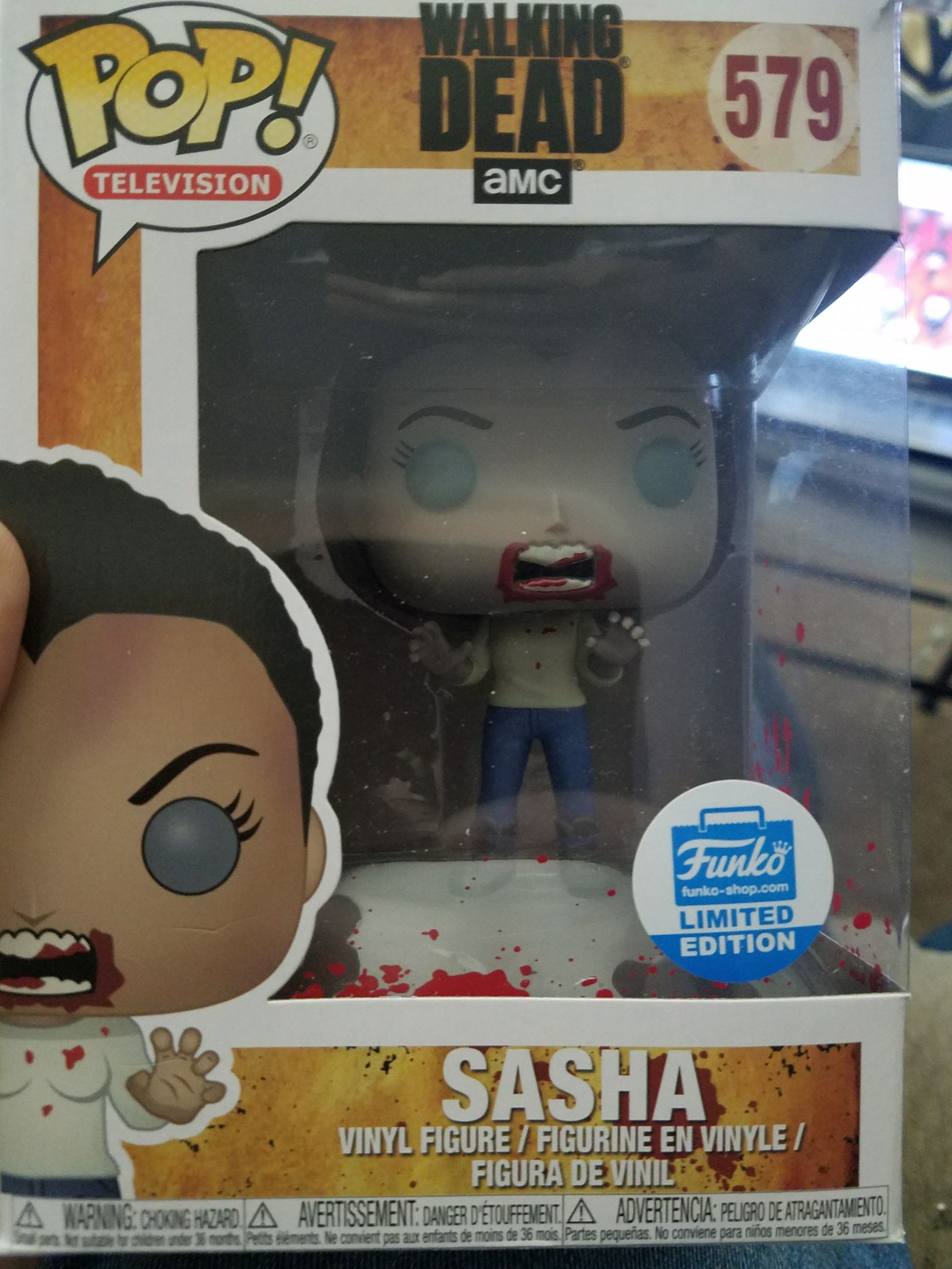 TARDIS (Pandorica Opens)