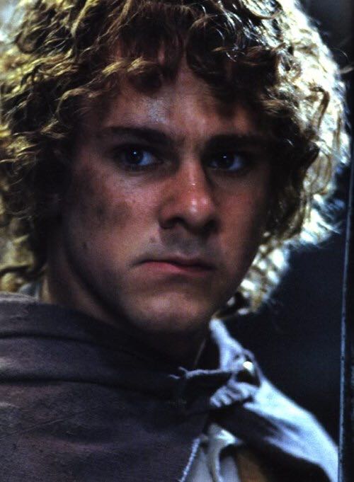 Merry Brandybuck - The Lord of the Rings vinyl figure collectible [Barcode 889698135634] - Main Image 2