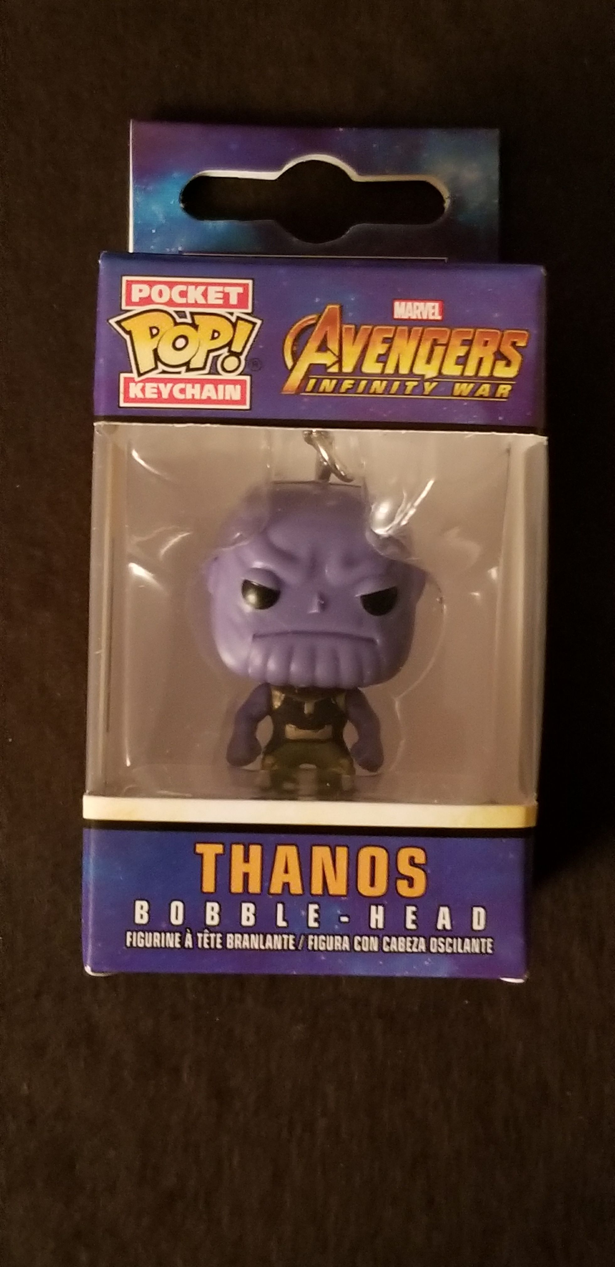 Oriole Bird - Cinco de Mayo