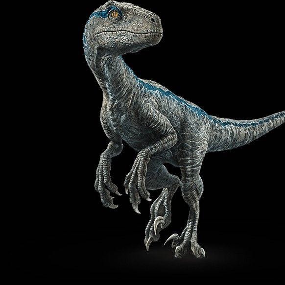 Blue - Jurassic World vinyl figure collectible [Barcode 889698309806] - Main Image 4