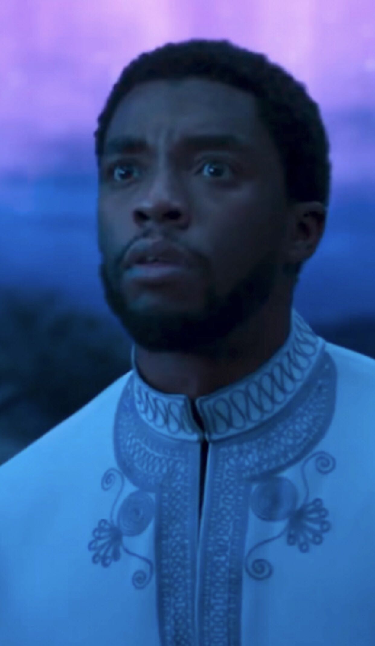 T’Challa - Marvel Universe vinyl figure collectible [Barcode 889698312875] - Main Image 4