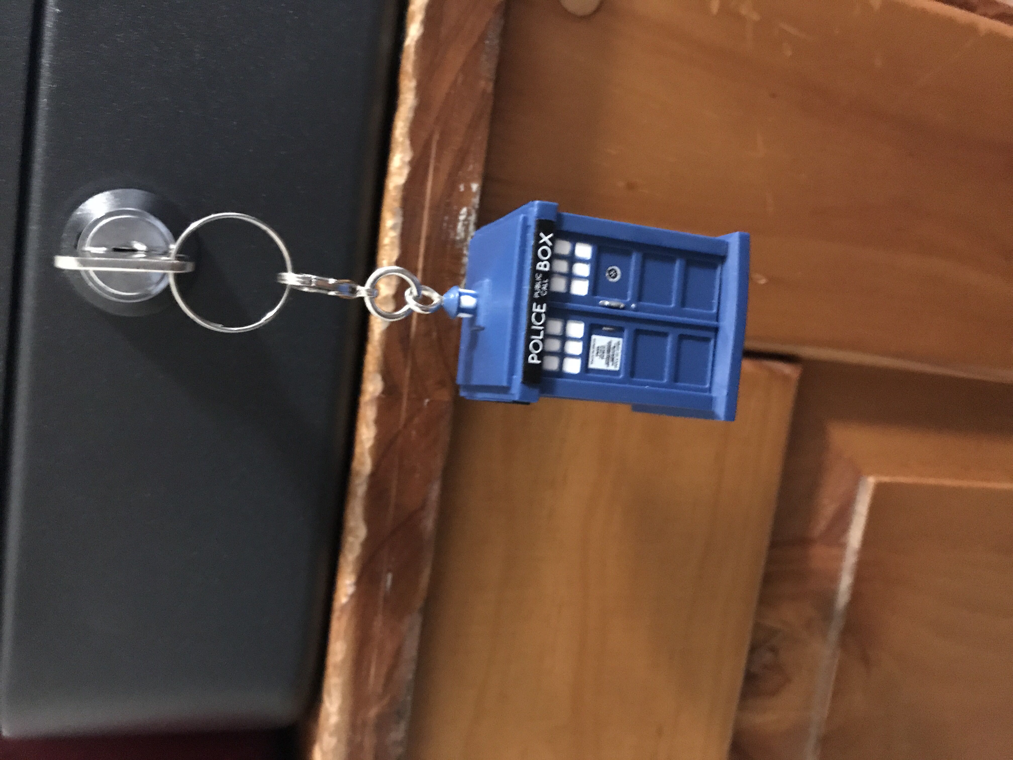 Zim & Gir on the Pig