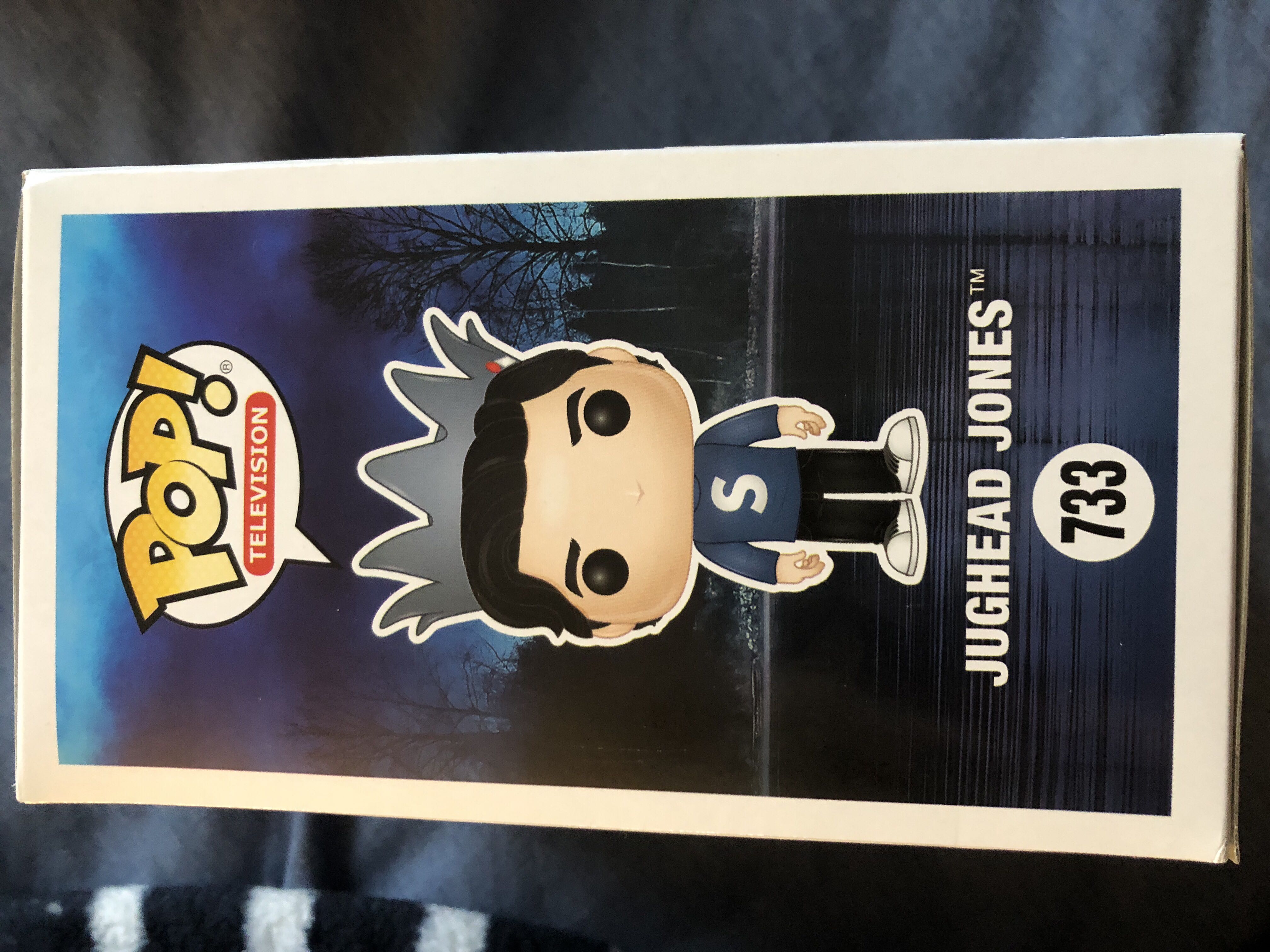 Riverdale: Jughead Jones - Riverdale vinyl figure collectible [Barcode 889698344586] - Main Image 2