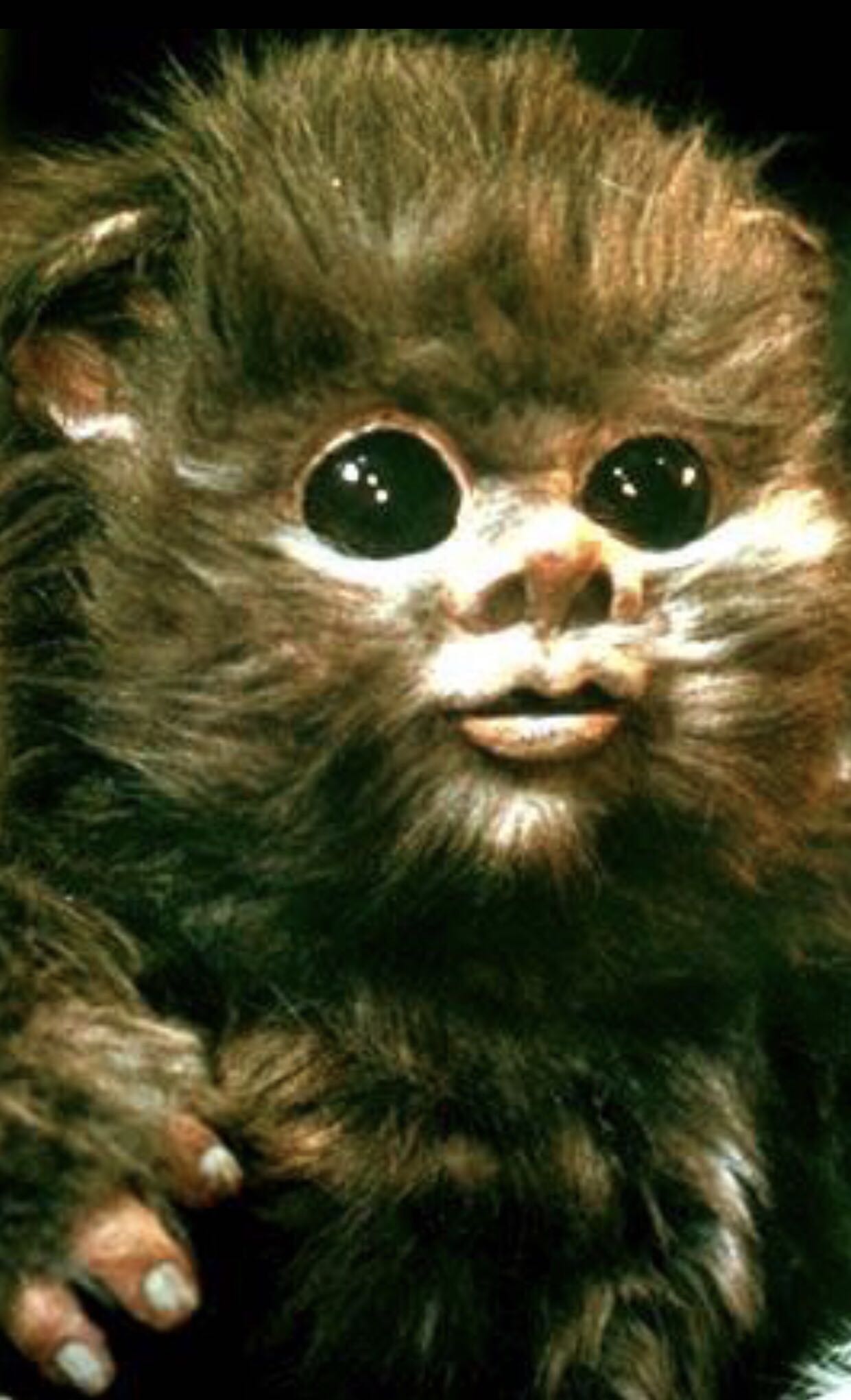 Baby Nippet - Star Wars vinyl figure collectible [Barcode 889698375894] - Main Image 4