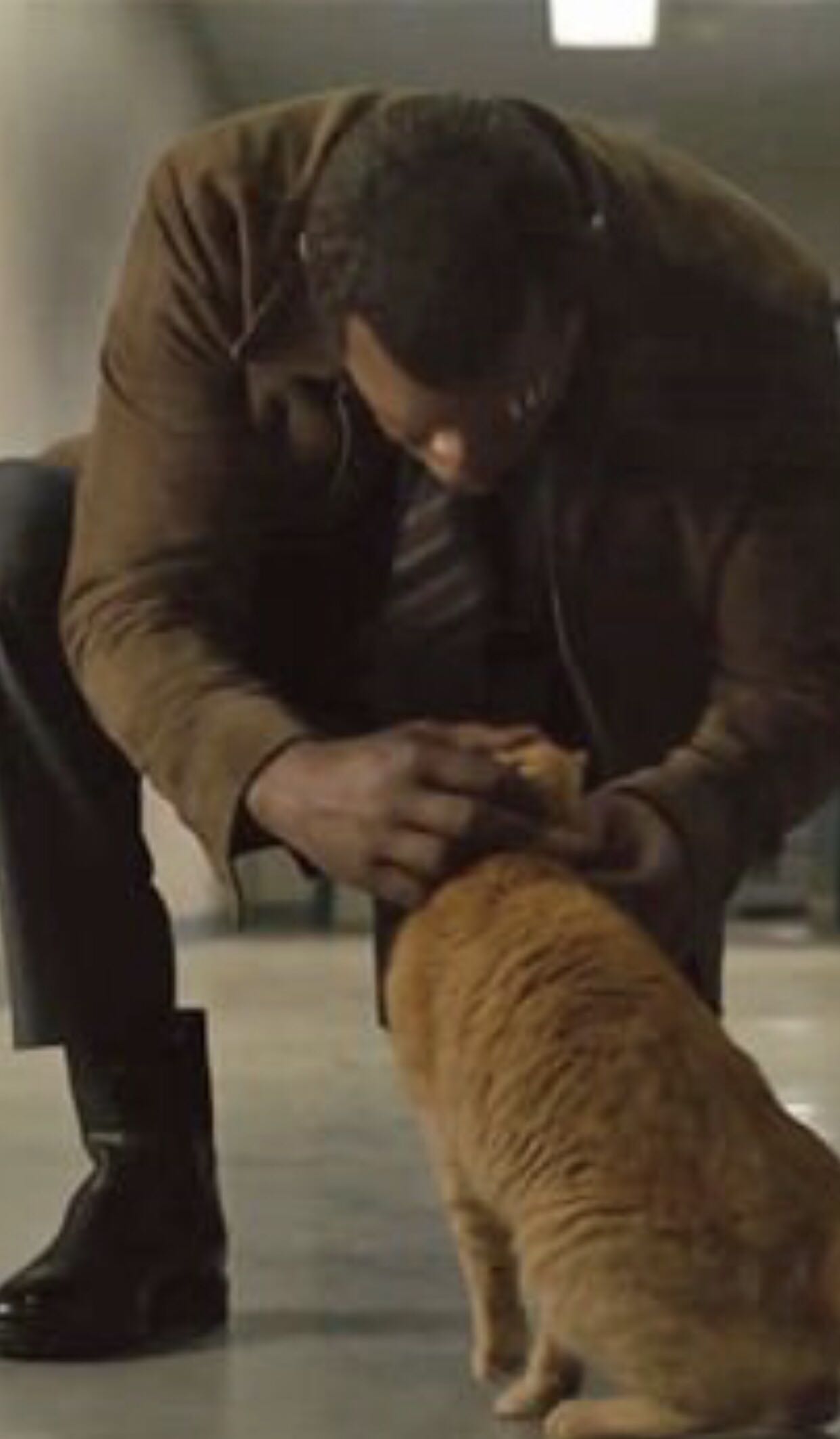 Goose (Flerken) Pop! 445 - Captain Marvel vinyl figure collectible [Barcode 889698376877] - Main Image 4