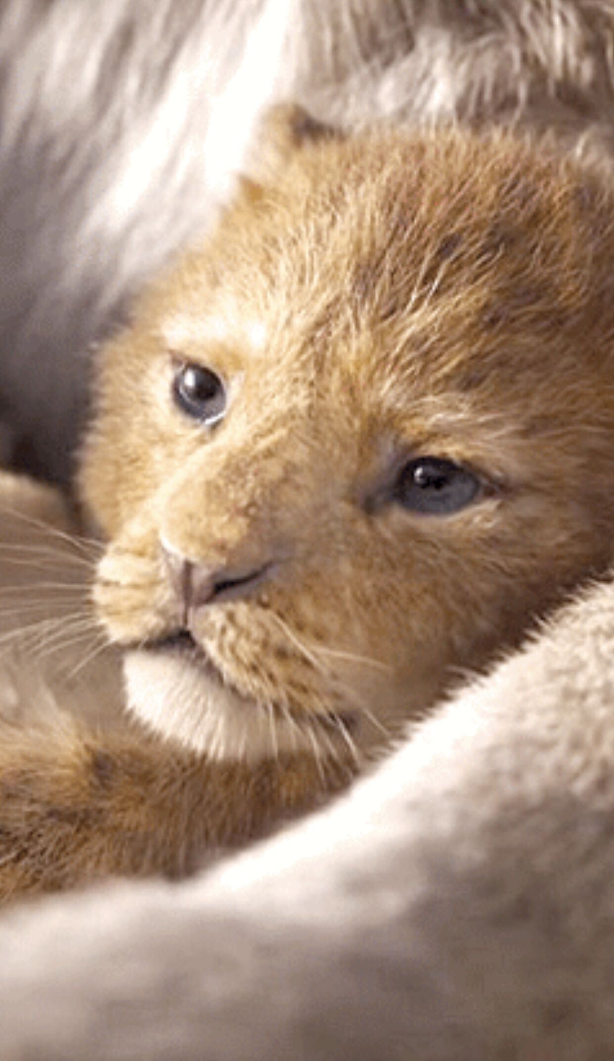 Lion King - Simba - Disney vinyl figure collectible [Barcode 889698385435] - Main Image 4