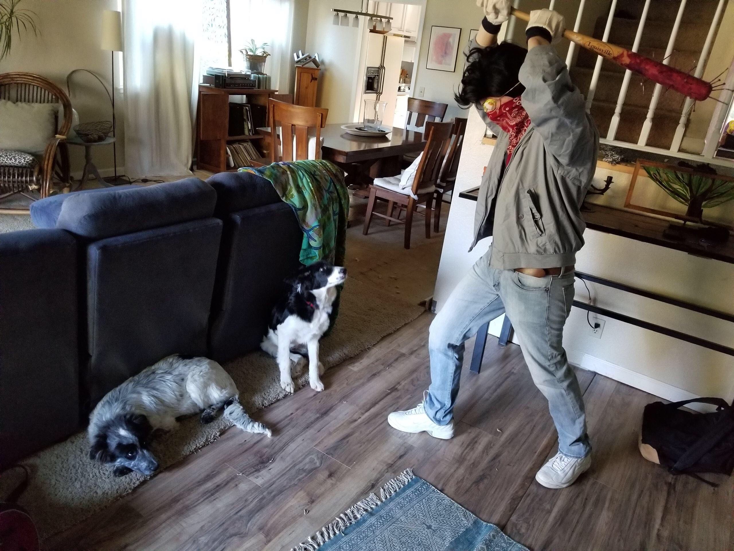 Stranger Things Steve and Demodog - Stranger Things vinyl figure collectible - Main Image 2