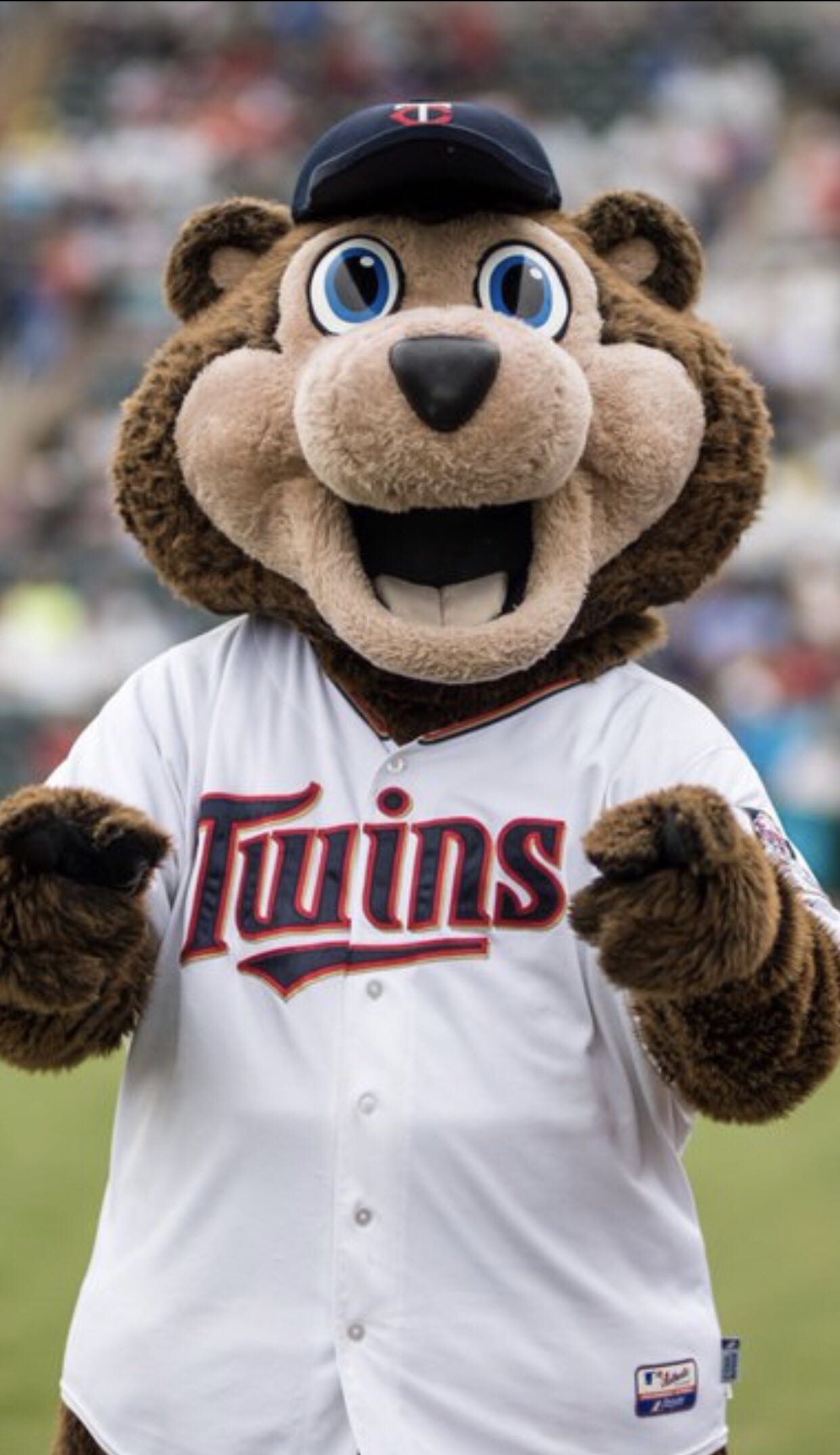 TC Bear - MLB vinyl figure collectible [Barcode 889698387132] - Main Image 4