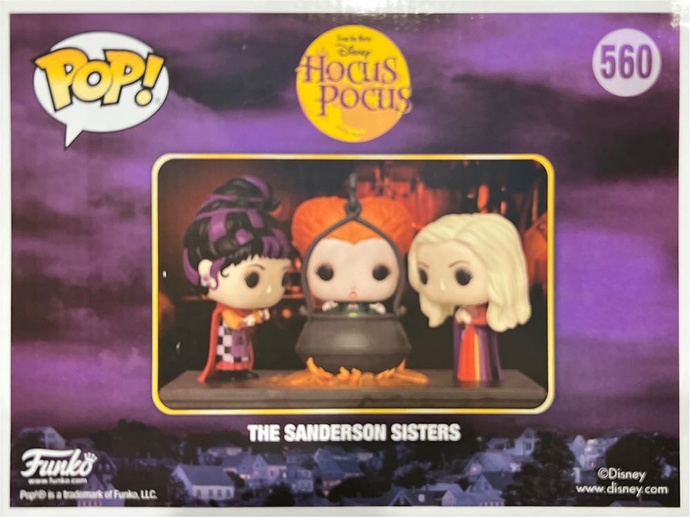 Hocus Pocus/The Sanderson Sisters - Hocus Pocus vinyl figure collectible [Barcode 01433606] - Main Image 4