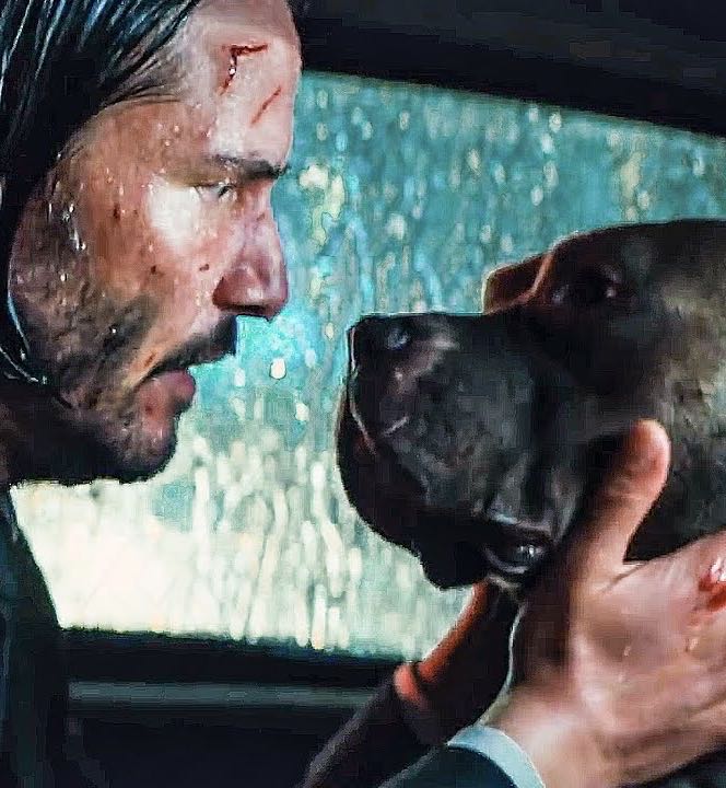 John Wick (With Dog)  vinyl figure collectible [Barcode 889698472388] - Main Image 4