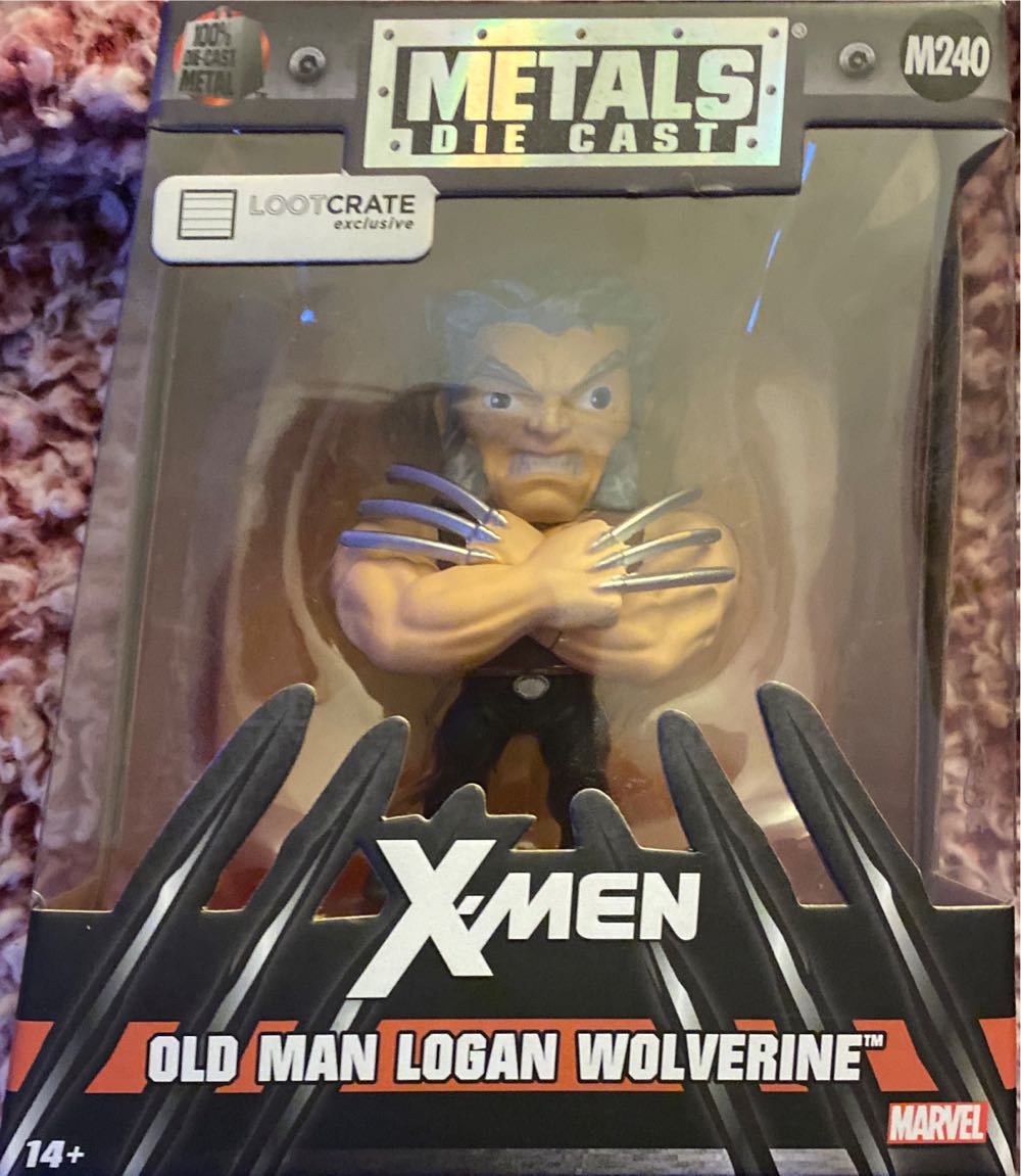 Harry Potter Hermione (with Time Turner)