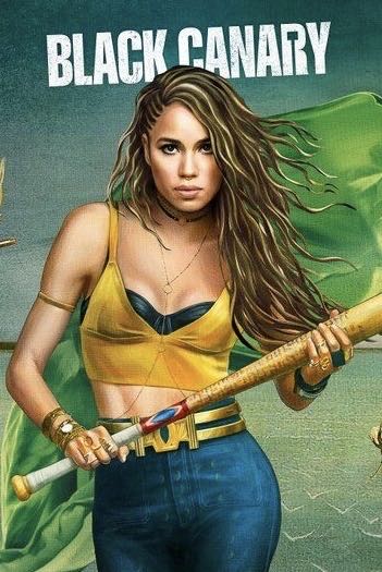 Black Canary Boobytrap Battle - Birds of Prey vinyl figure collectible [Barcode 889698443722] - Main Image 4