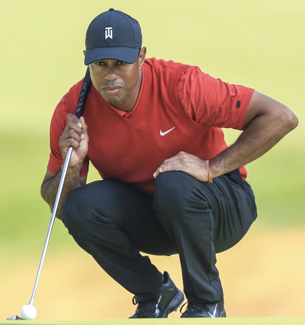 Tiger Woods - Golf vinyl figure collectible [Barcode 889698447157] - Main Image 4