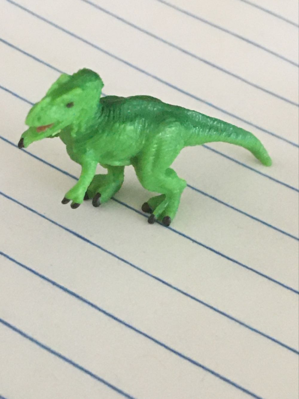 112 Harry Potter With Invisibility Cloak