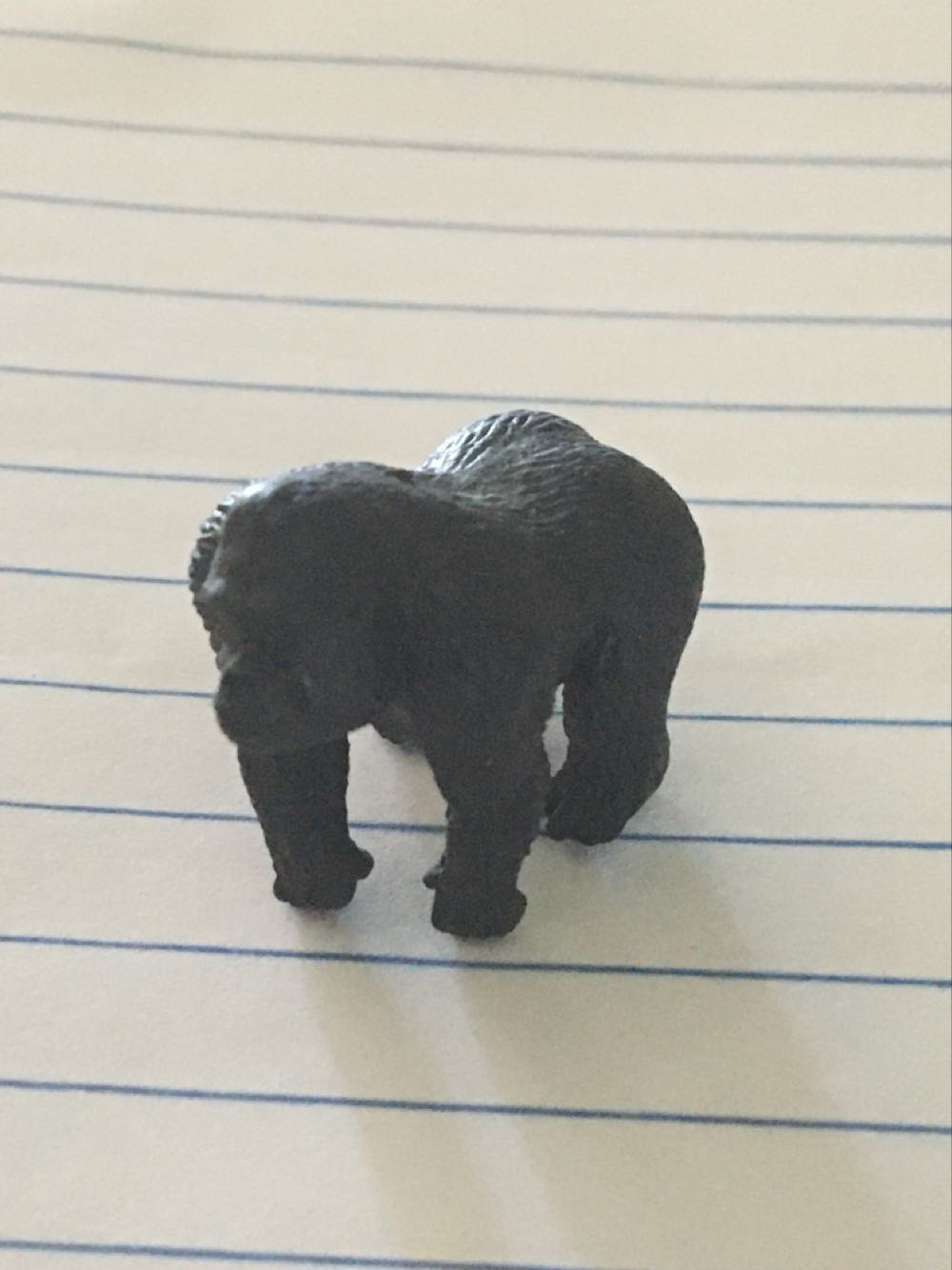 “Piece Of Mind Eddie”