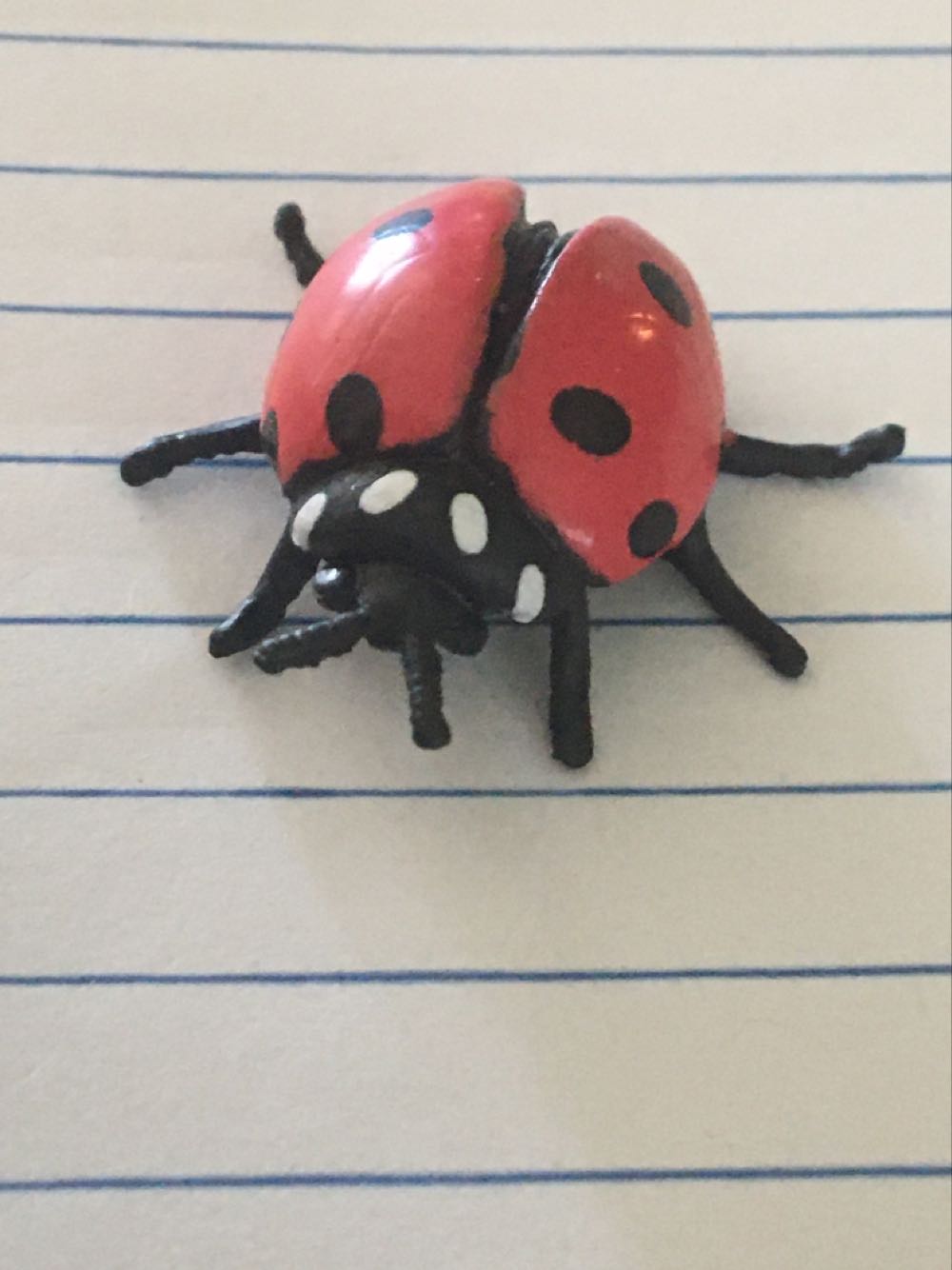 Billy Madison (in Bathtub)