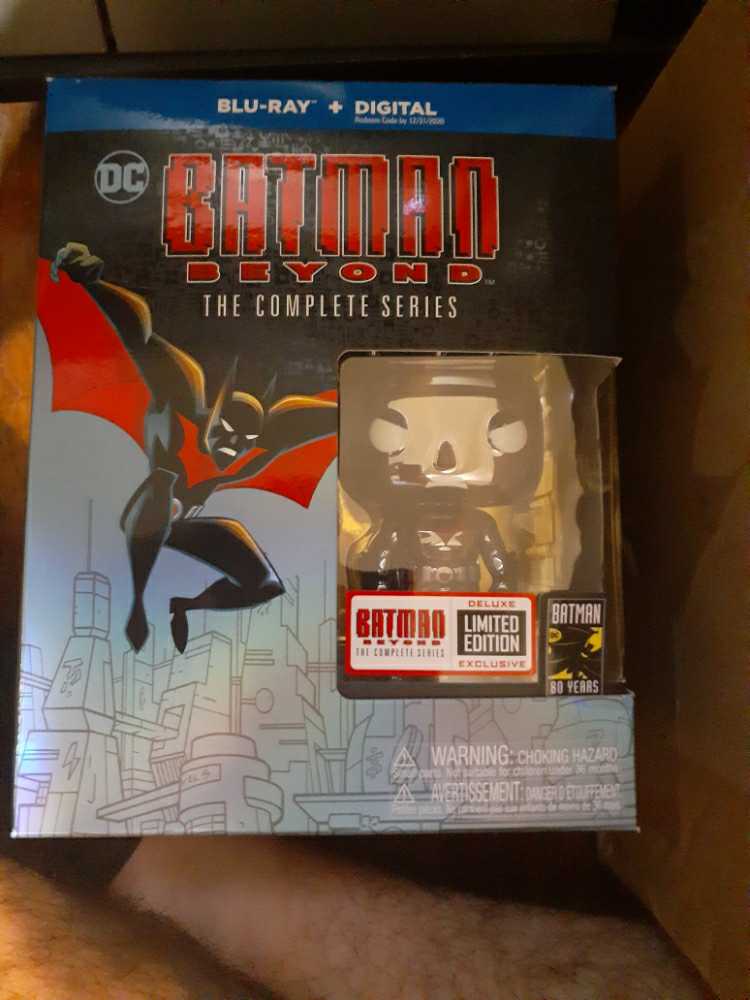 Batman Beyond: The Complete Series - Marvel Universe vinyl figure collectible [Barcode 883929666812] - Main Image 2