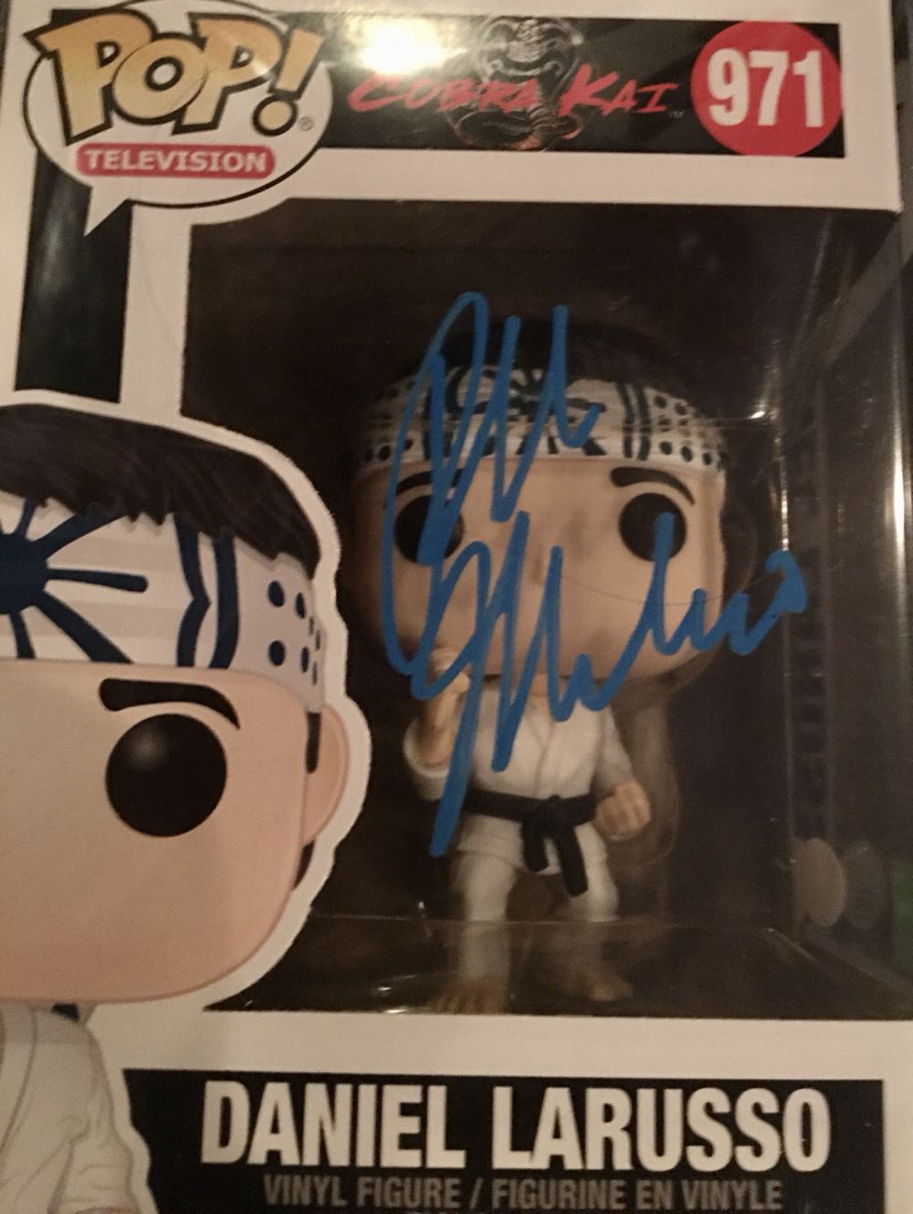 Daniel Larusso - Cobra Kai vinyl figure collectible - Main Image 3