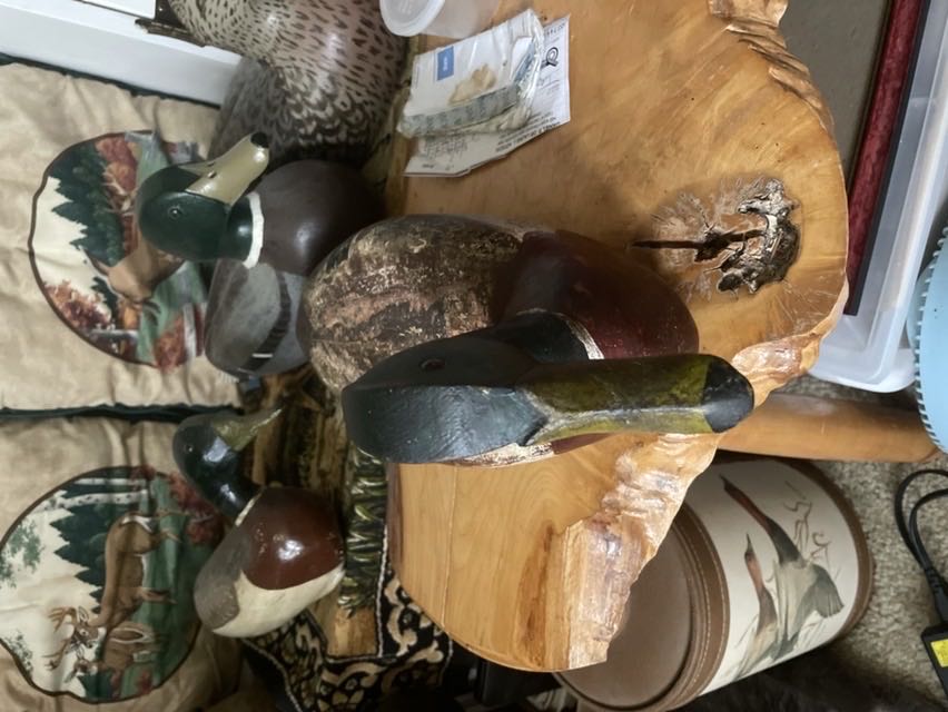 Duck Wooden #2  vinyl figure collectible - Main Image 2