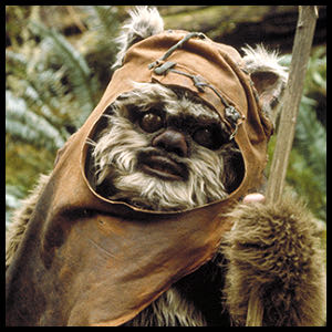 # 290 Wicket W. Warwick (Endor) - Star Wars vinyl figure collectible [Barcode 889698556897] - Main Image 3