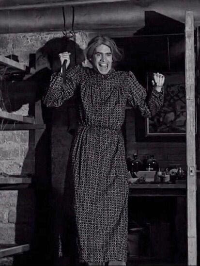 Psycho: Norman Bates  vinyl figure collectible - Main Image 2