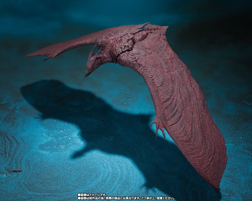 Rodan ( S.H. MonsterArts / 2019 ) - Godzilla vinyl figure collectible [Barcode 4573102574466] - Main Image 4