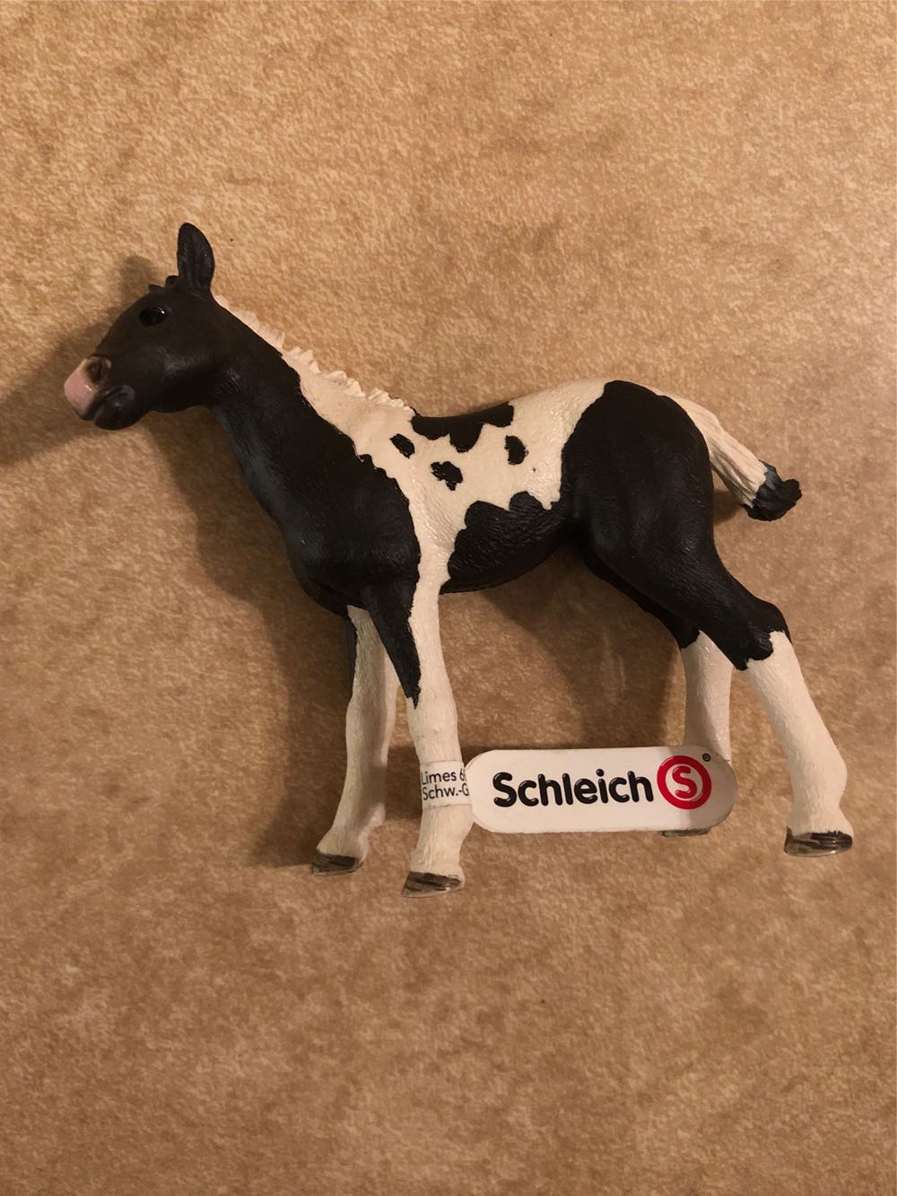 Schleich Farm World “Pinto Foal”  vinyl figure collectible [Barcode 4059433322650] - Main Image 3