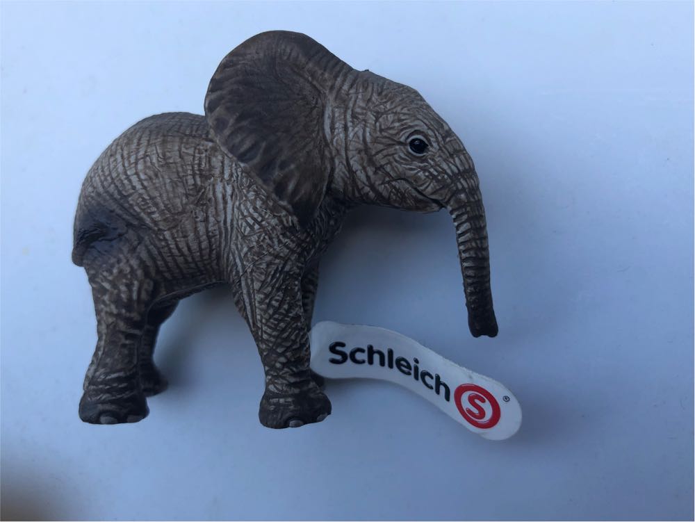 Schleich Wild Life  African Elephant Calf  vinyl figure collectible [Barcode 4005086147638] - Main Image 3
